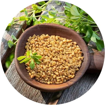 Arab Kings – Power of Arabian Kings, Now in India “Supports Daily Energy And Natural Wellness" Powder